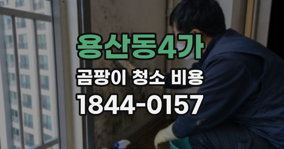 용산동4가 곰팡이 청소 비용