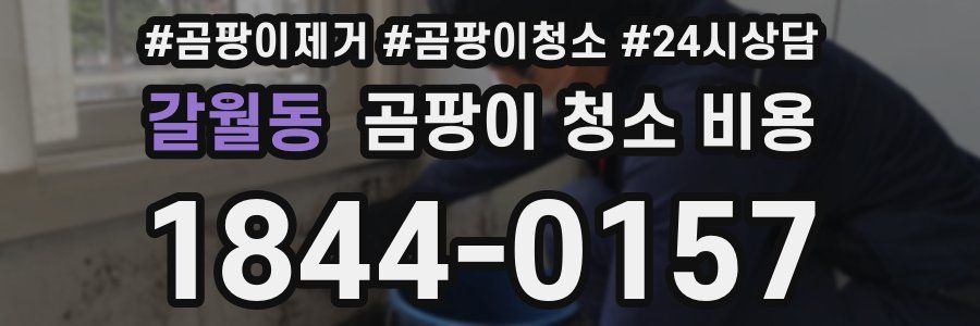 갈월동 곰팡이 청소 비용