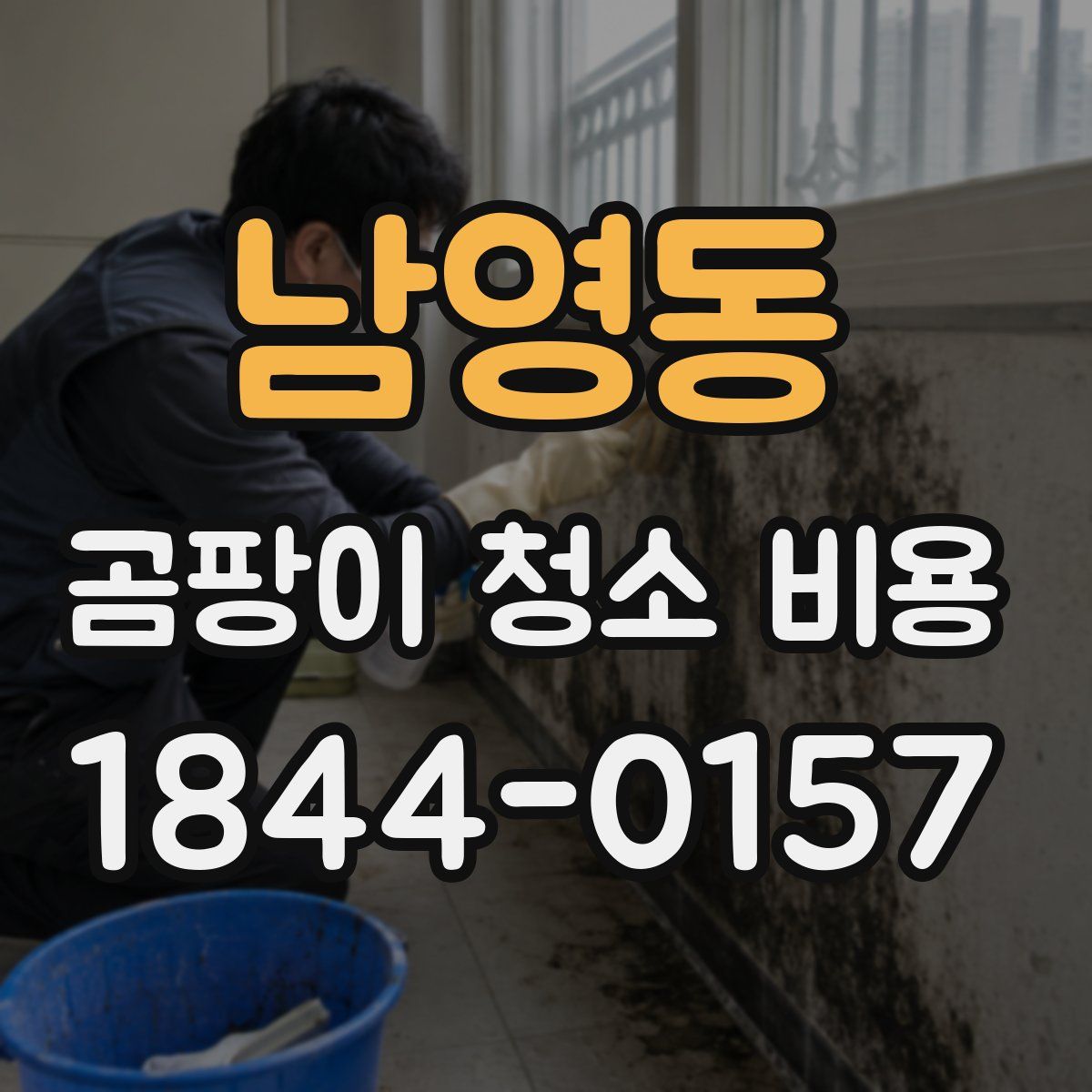남영동 곰팡이 청소 비용