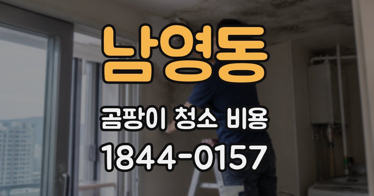 남영동 곰팡이 청소 비용
