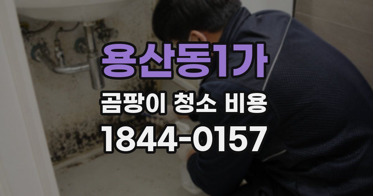 용산동1가 곰팡이 청소 비용