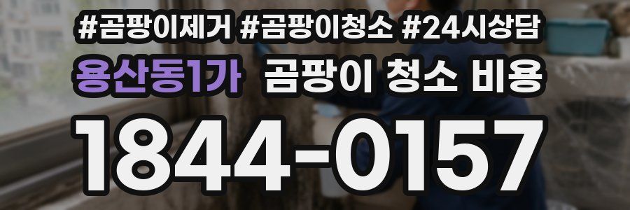 용산동1가 곰팡이 청소 비용