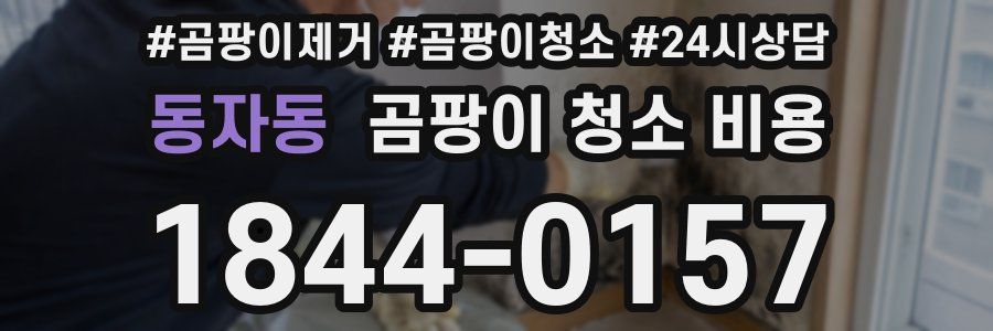 동자동 곰팡이 청소 비용