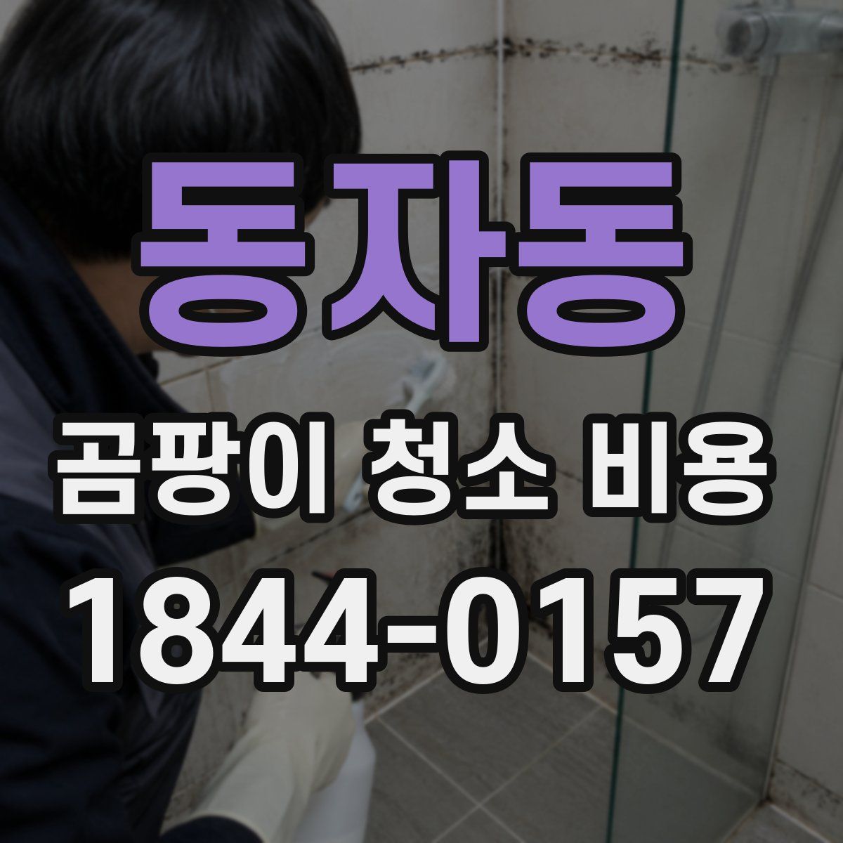 동자동 곰팡이 청소 비용