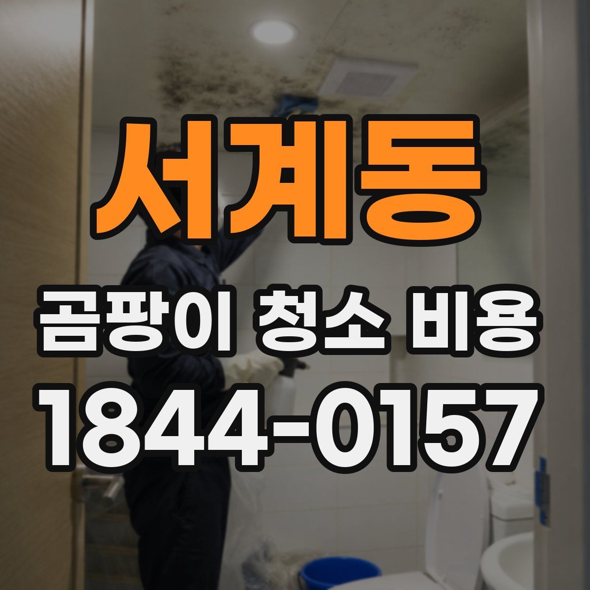 서계동 곰팡이 청소 비용