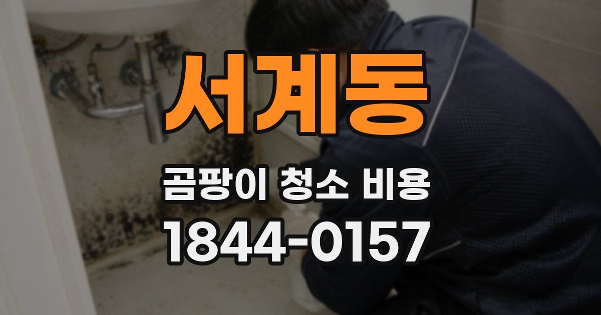 서계동 곰팡이 청소 비용