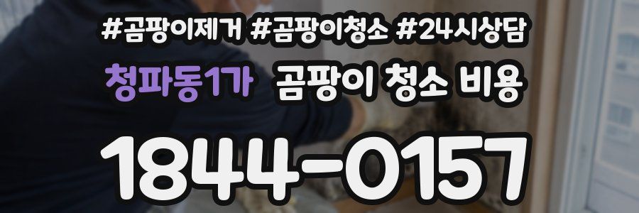 청파동1가 곰팡이 청소 비용