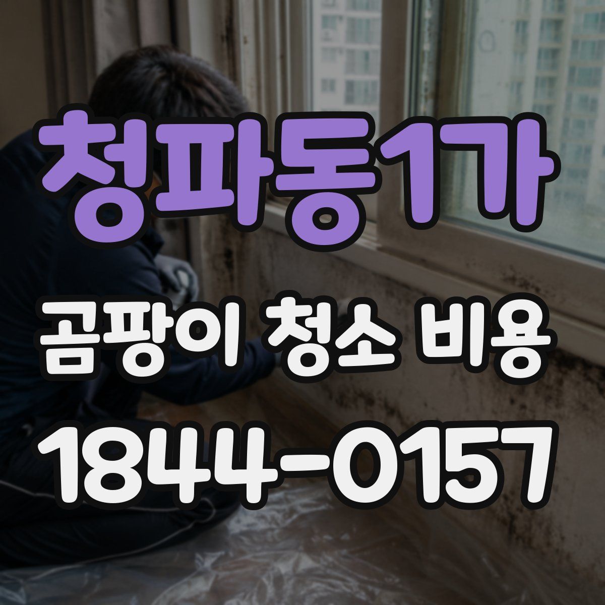 청파동1가 곰팡이 청소 비용
