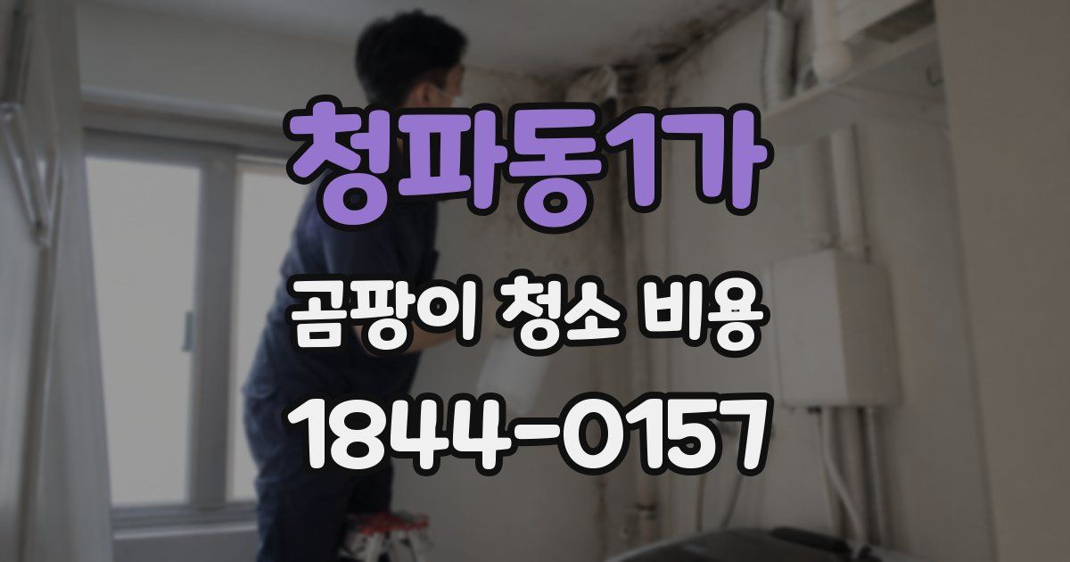 청파동1가 곰팡이 청소 비용