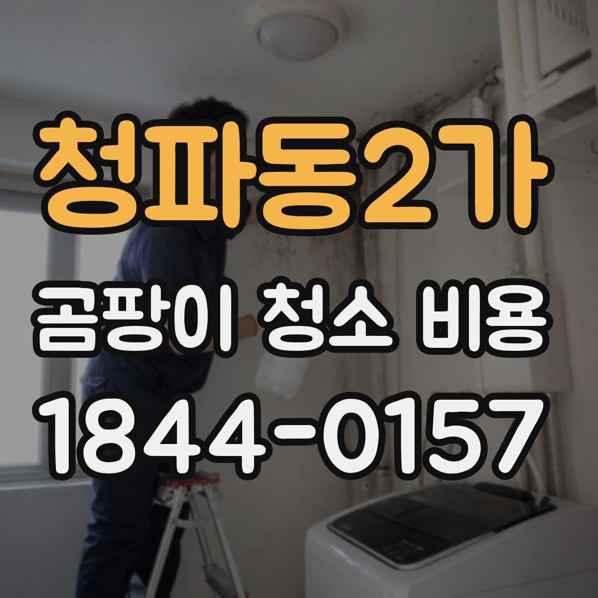 청파동2가 곰팡이 청소 비용
