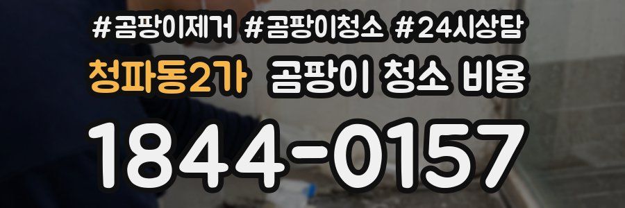 청파동2가 곰팡이 청소 비용