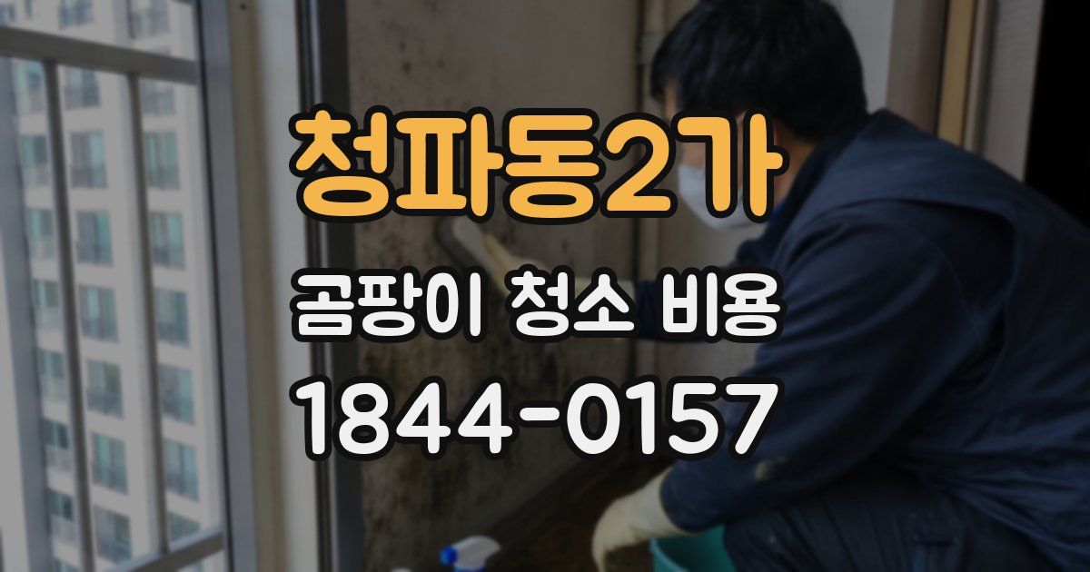 청파동2가 곰팡이 청소 비용