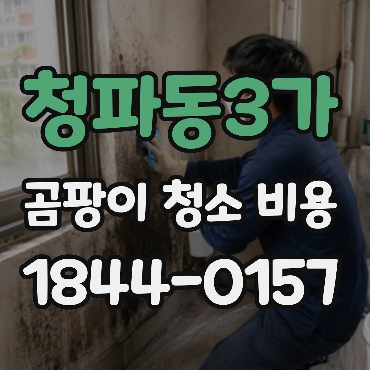 청파동3가 곰팡이 청소 비용