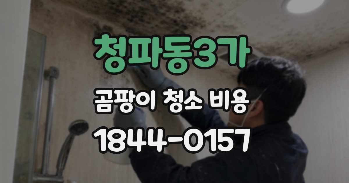 청파동3가 곰팡이 청소 비용