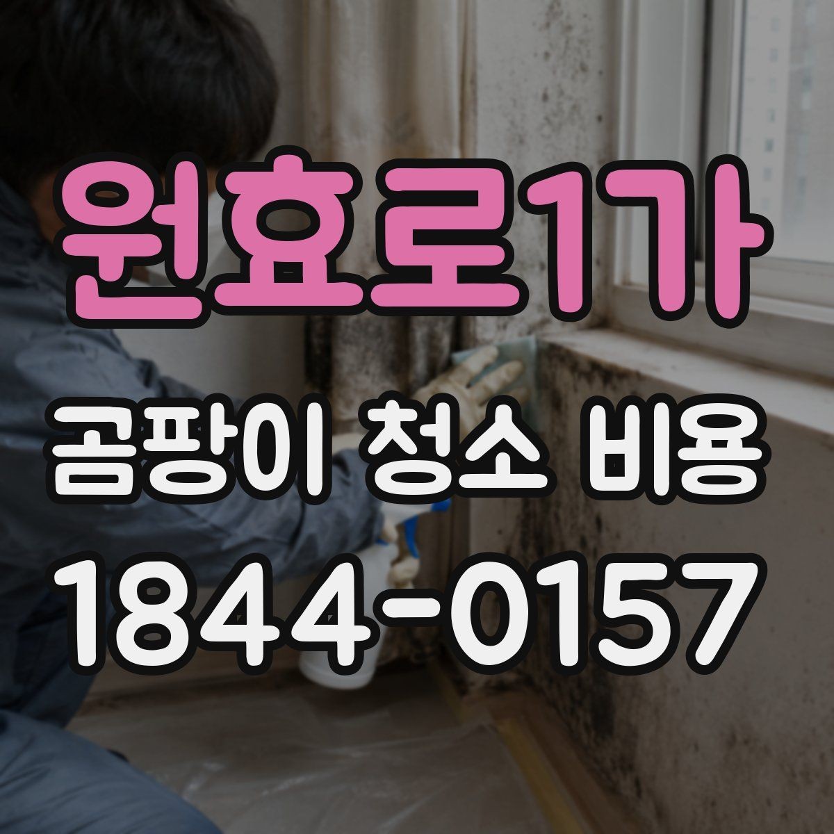 원효로1가 곰팡이 청소 비용 약품 농도와 작업 시간이 달라지는 기준