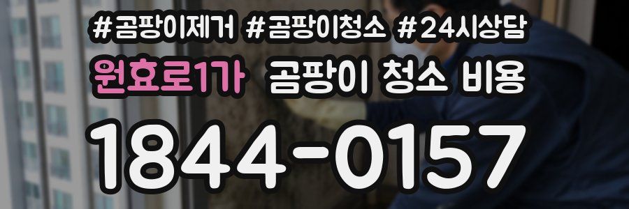 원효로1가 곰팡이 청소 비용