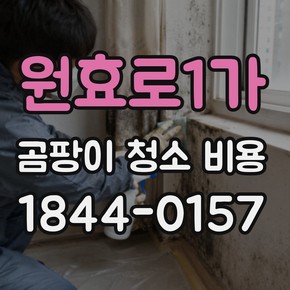 원효로1가 곰팡이 청소 비용