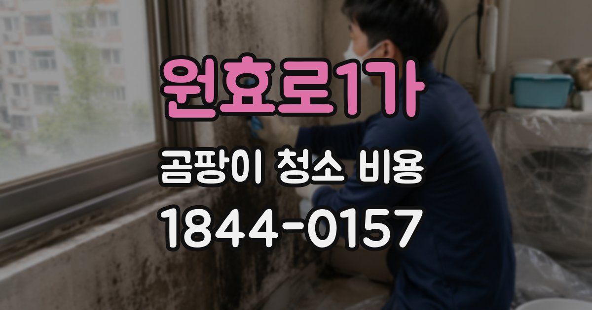 원효로1가 곰팡이 청소 비용