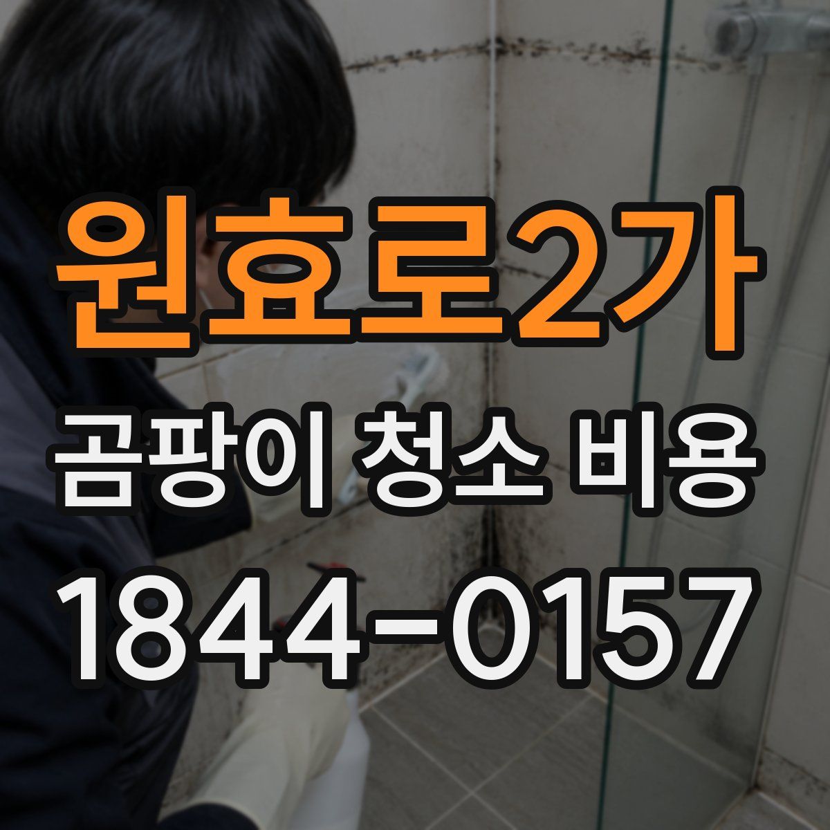 원효로2가 곰팡이 청소 비용