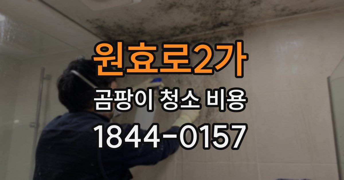 원효로2가 곰팡이 청소 비용