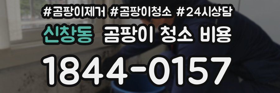 신창동 곰팡이 청소 비용