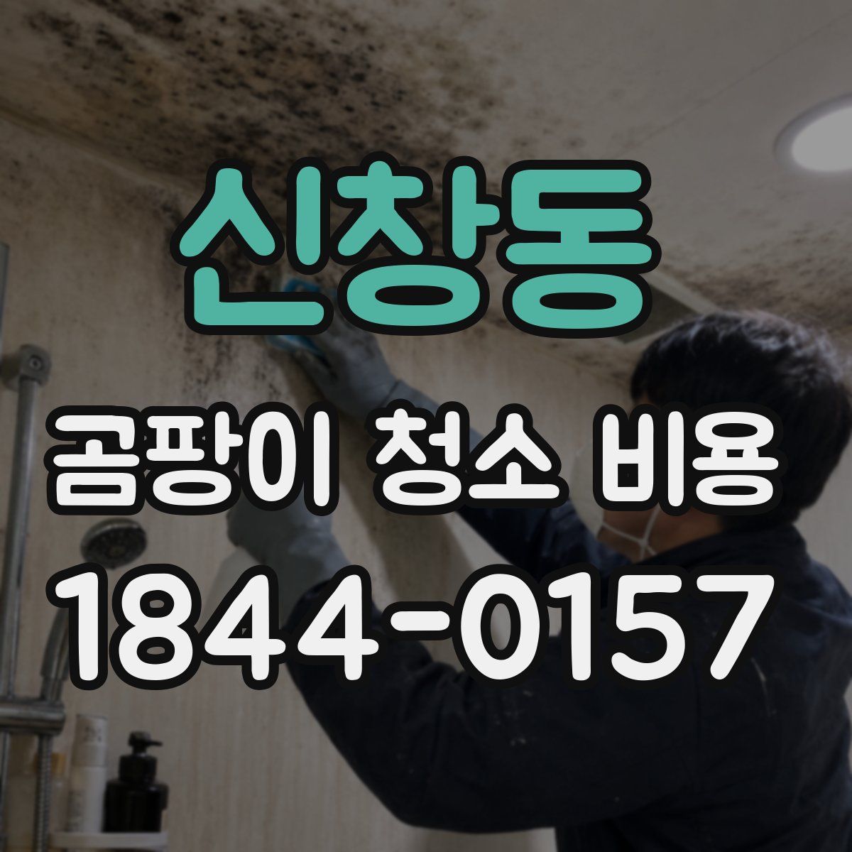 신창동 곰팡이 청소 비용