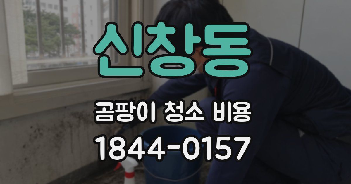 신창동 곰팡이 청소 비용