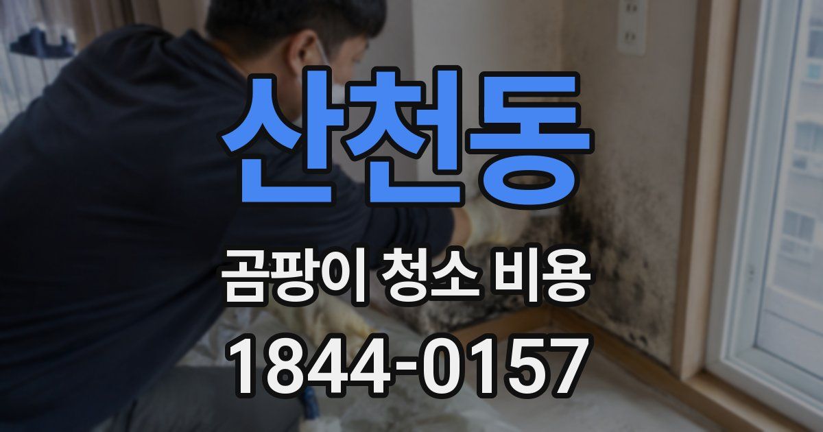 산천동 곰팡이 청소 비용