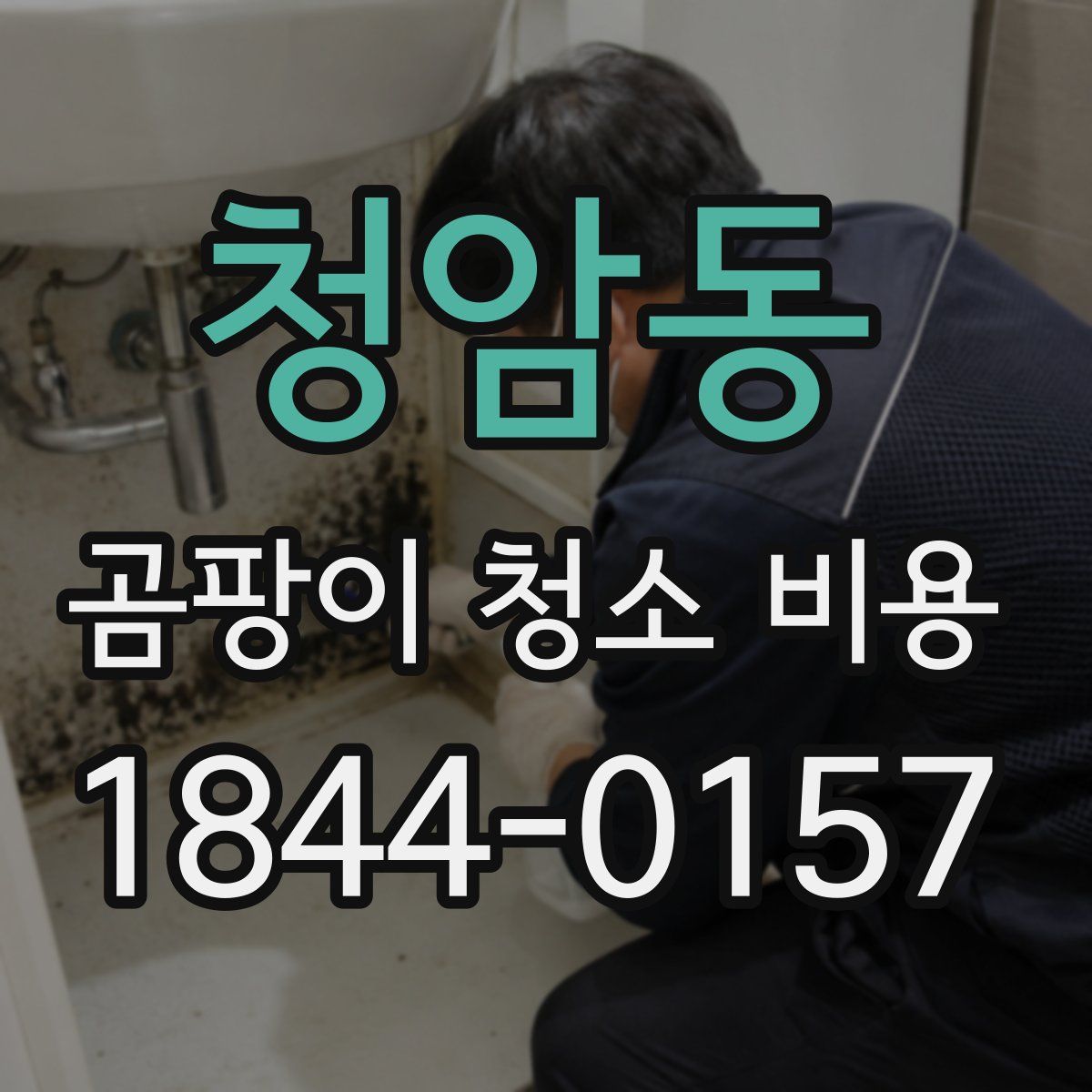 청암동 곰팡이 청소 비용