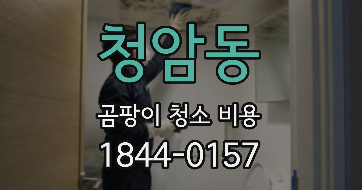 청암동 곰팡이 청소 비용