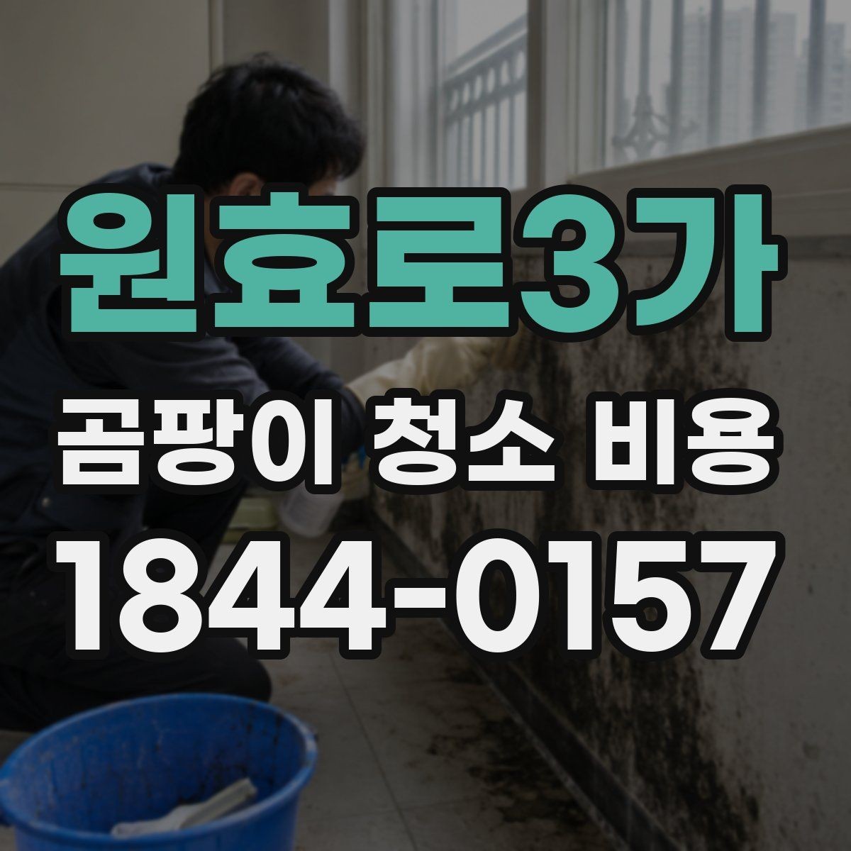 원효로3가 곰팡이 청소 비용 벽지 손상과 오염 번짐을 함께 보는 기준