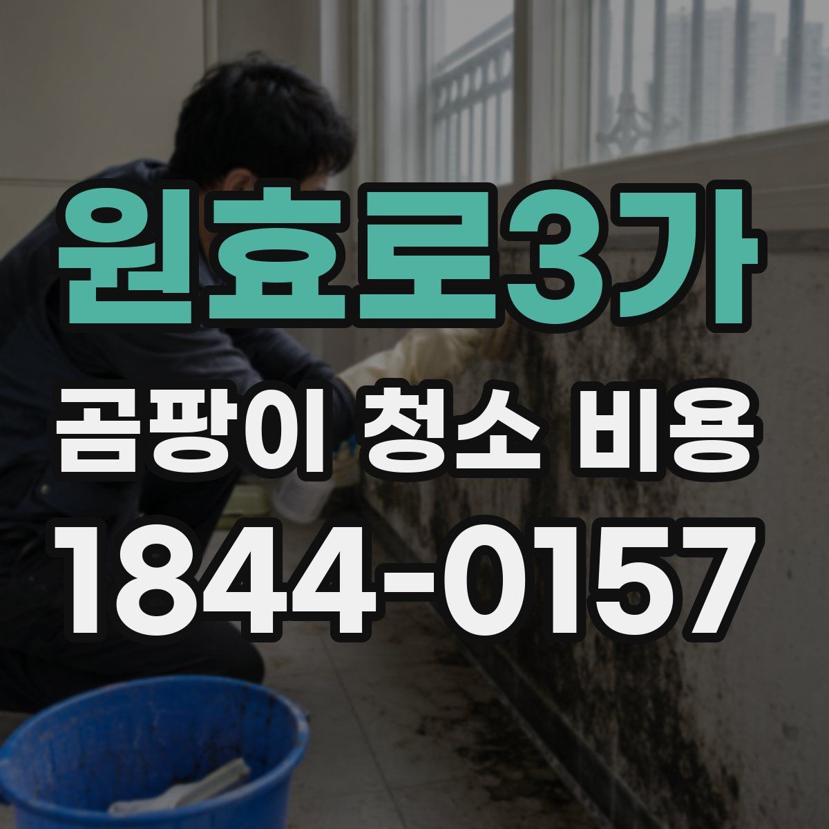원효로3가 곰팡이 청소 비용