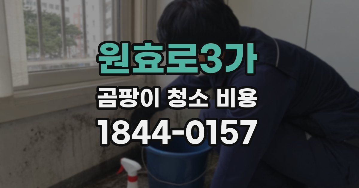 원효로3가 곰팡이 청소 비용
