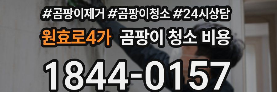 원효로4가 곰팡이 청소 비용