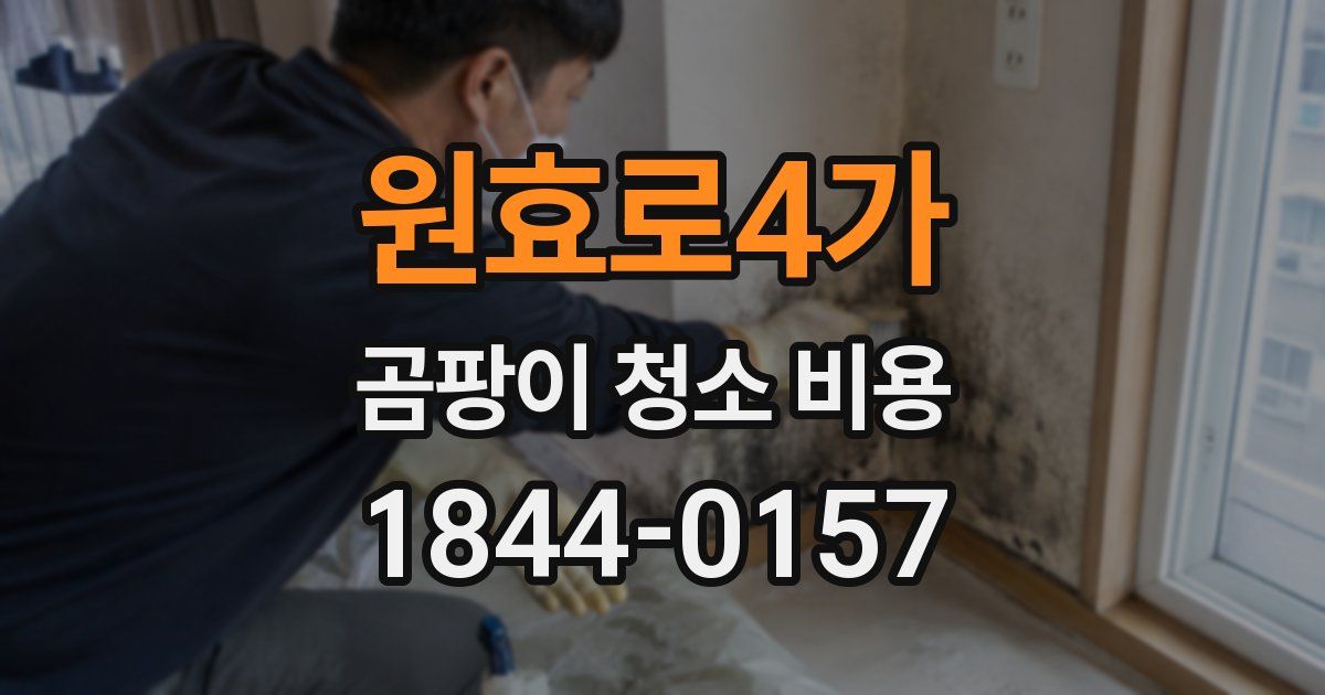 원효로4가 곰팡이 청소 비용