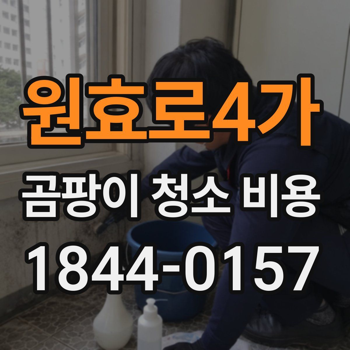 원효로4가 곰팡이 청소 비용