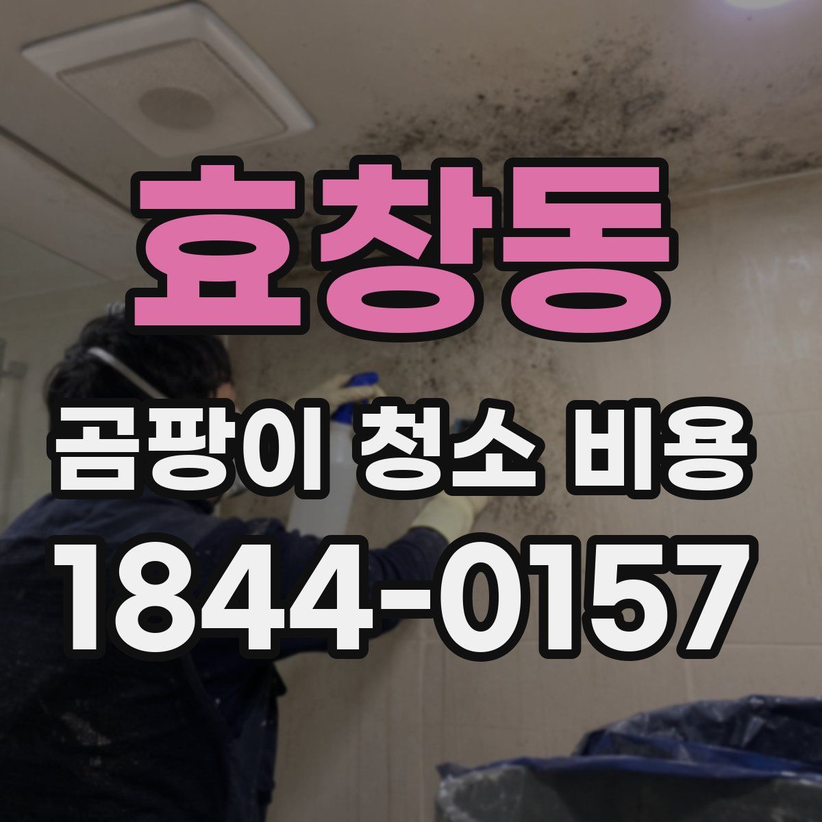 효창동 곰팡이 청소 비용