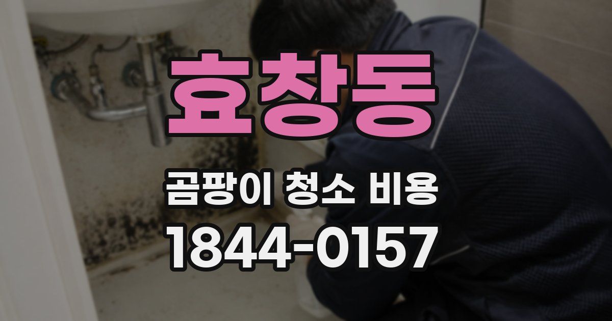 효창동 곰팡이 청소 비용