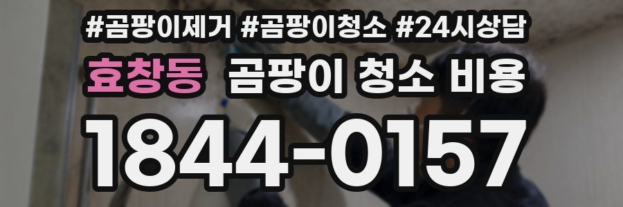 효창동 곰팡이 청소 비용