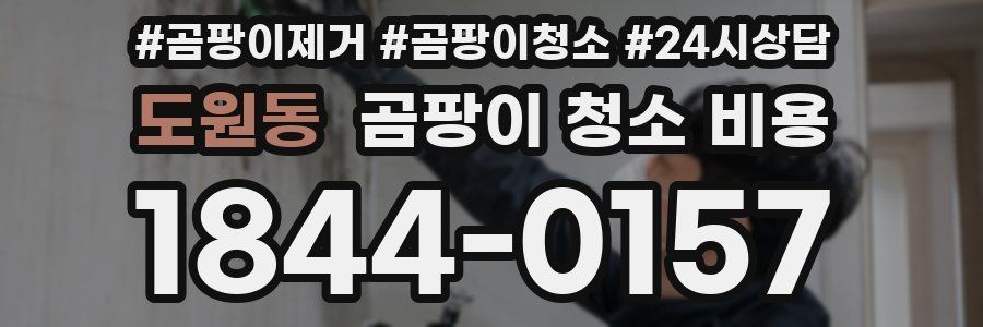 도원동 곰팡이 청소 비용