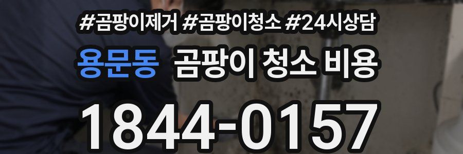 용문동 곰팡이 청소 비용