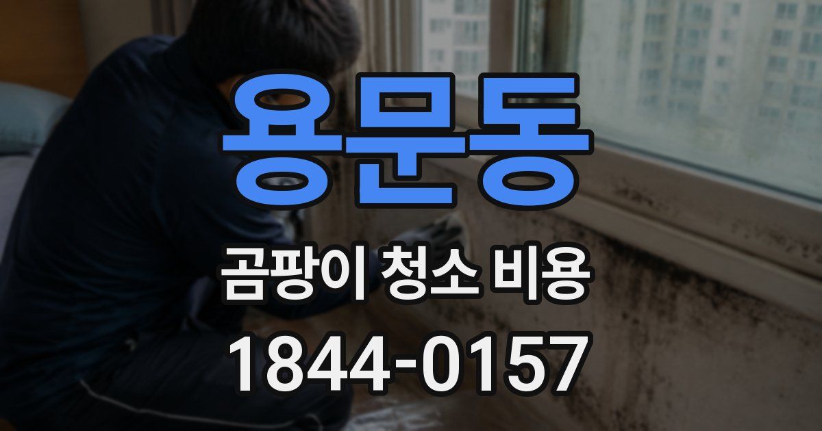 용문동 곰팡이 청소 비용
