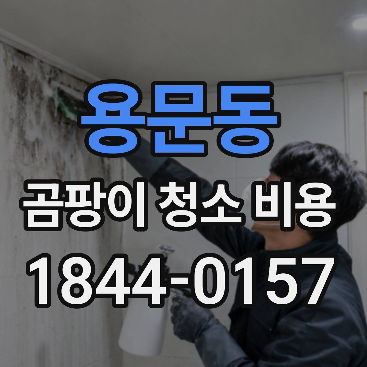 용문동 곰팡이 청소 비용