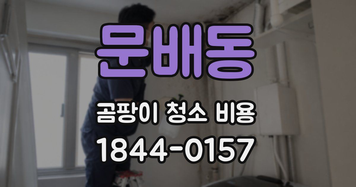 문배동 곰팡이 청소 비용