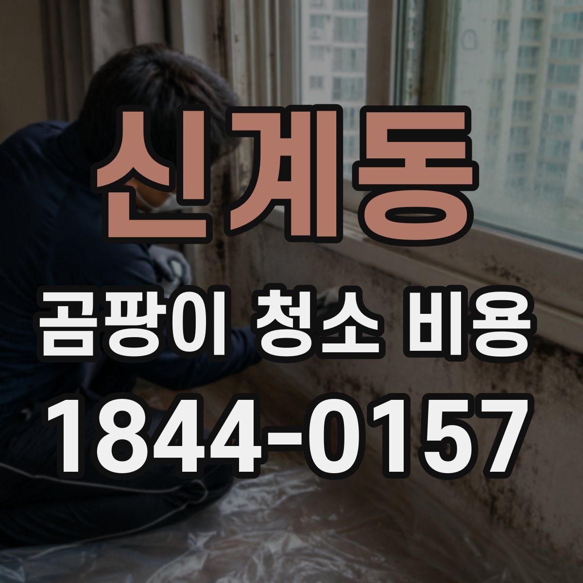 신계동 곰팡이 청소 비용