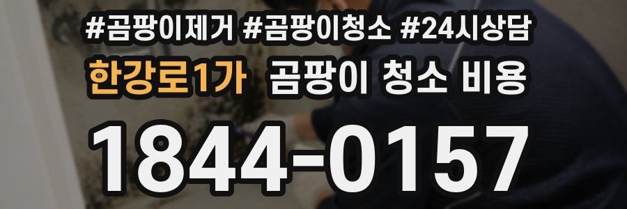 한강로1가 곰팡이 청소 비용