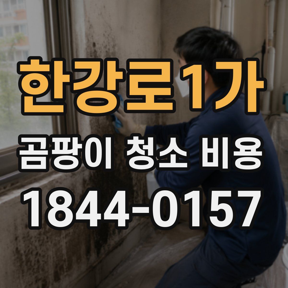 한강로1가 곰팡이 청소 비용