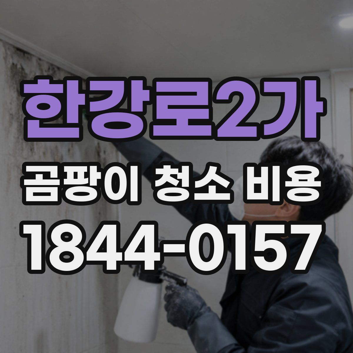 한강로2가 곰팡이 청소 비용