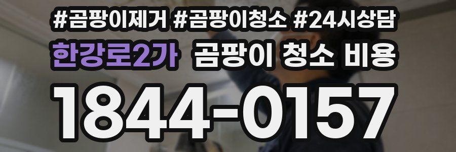 한강로2가 곰팡이 청소 비용