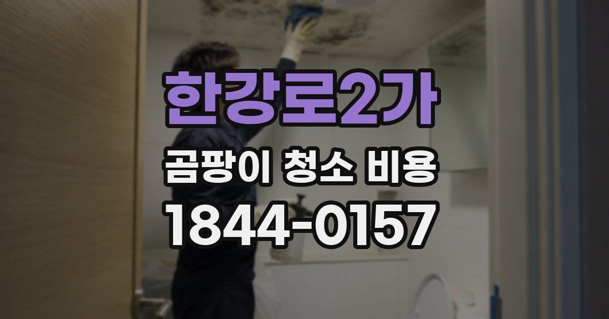 한강로2가 곰팡이 청소 비용